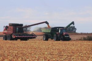Red Combine and Green grain cart at harvest