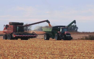 Iowa Farmland Values Inch Up in 2025