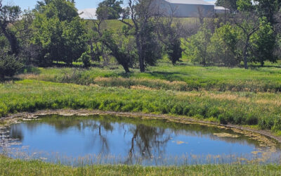 How We Value Mixed-Use and Recreational Land in Iowa